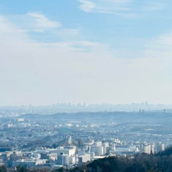 肉眼だともっとはっきりスカイツリー見えた。