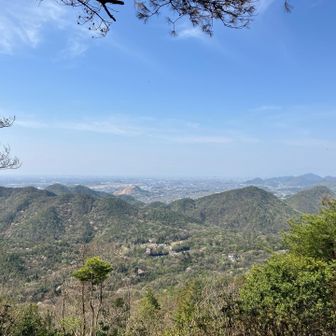 西側の景色も霞んでる…