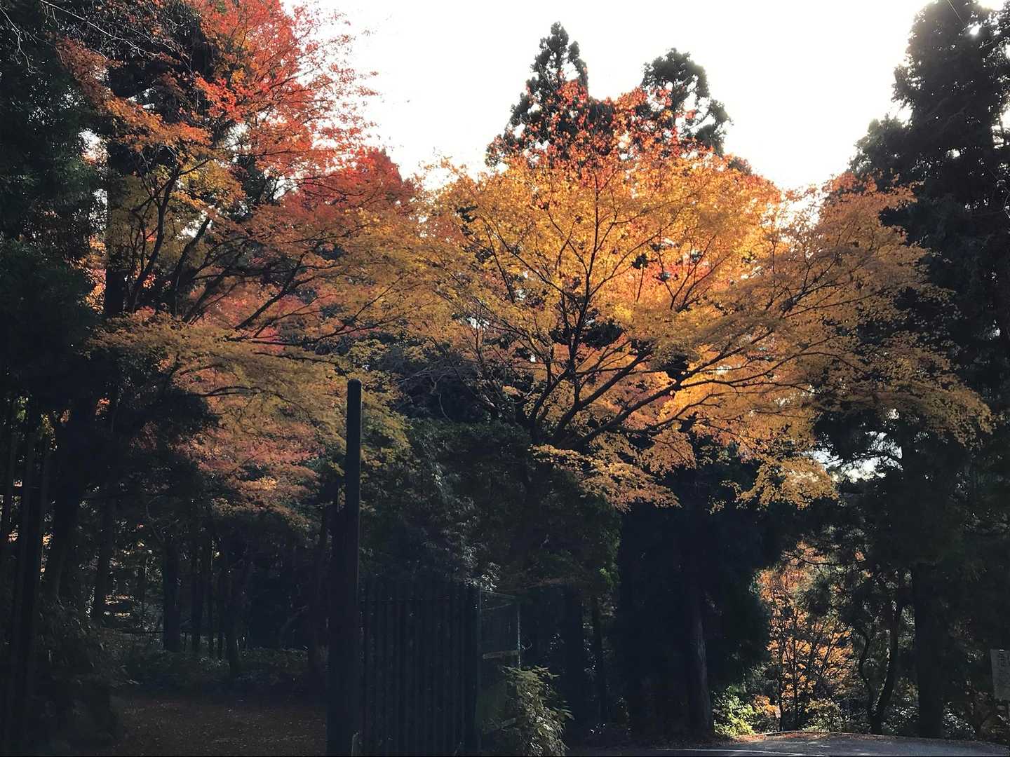 堡塁岩目指して出発