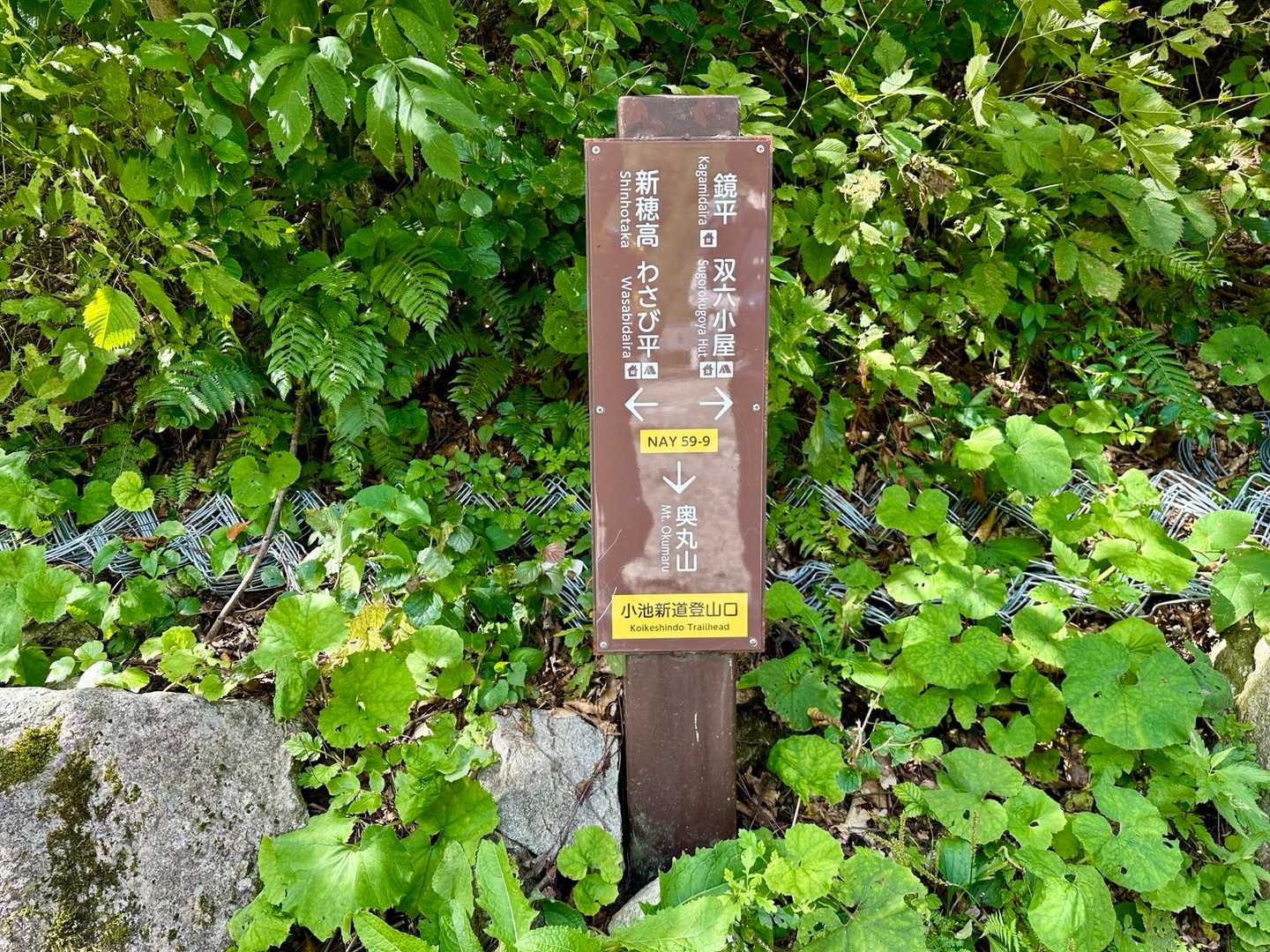 抜戸岳-秩父平-大ノマ岳-大ノマ乗越-弓折岳-弓折乗越-小 縦走コースの写真
