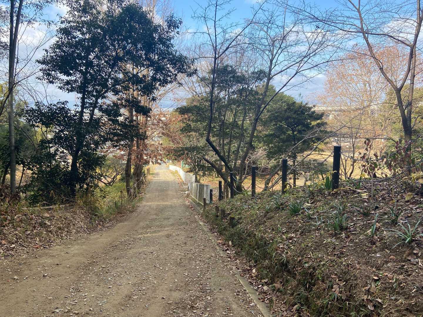 はい、下りてきました
また津田駅に戻り、北浜まで乗り換え1回