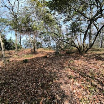 佐生山に到着！