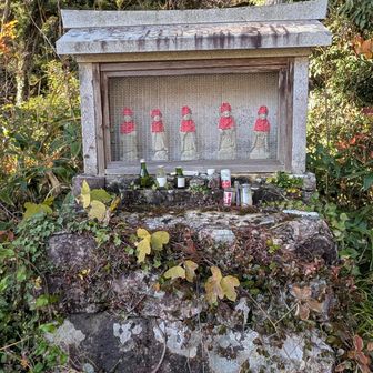 苔むして滑る岩と濡れた落ち葉に苦戦したけど無事に下山