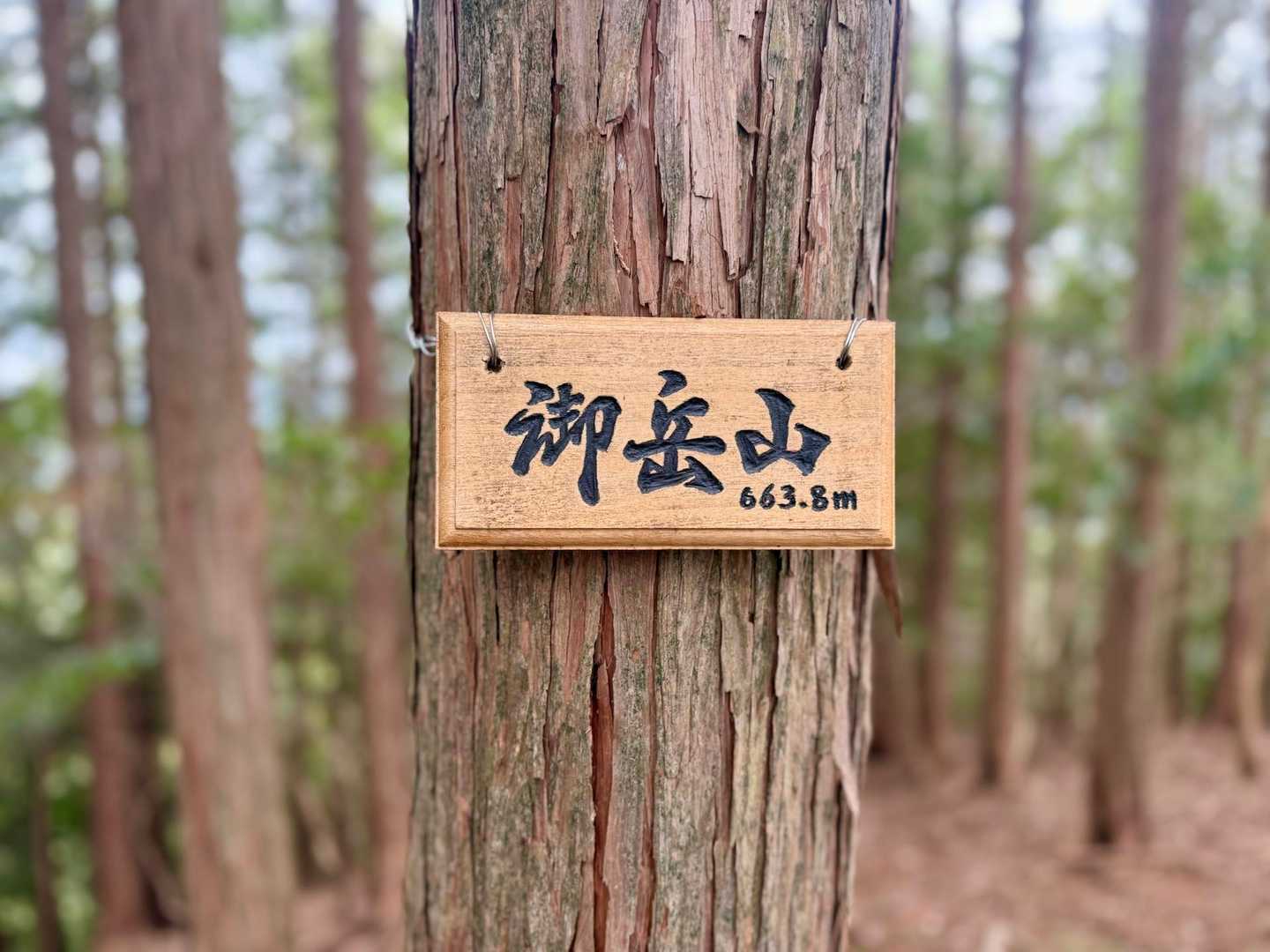 御岳山 往復コースの写真