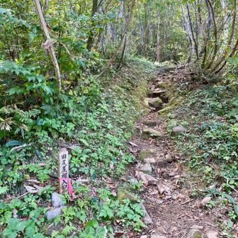 田尻尾根登山口🪧