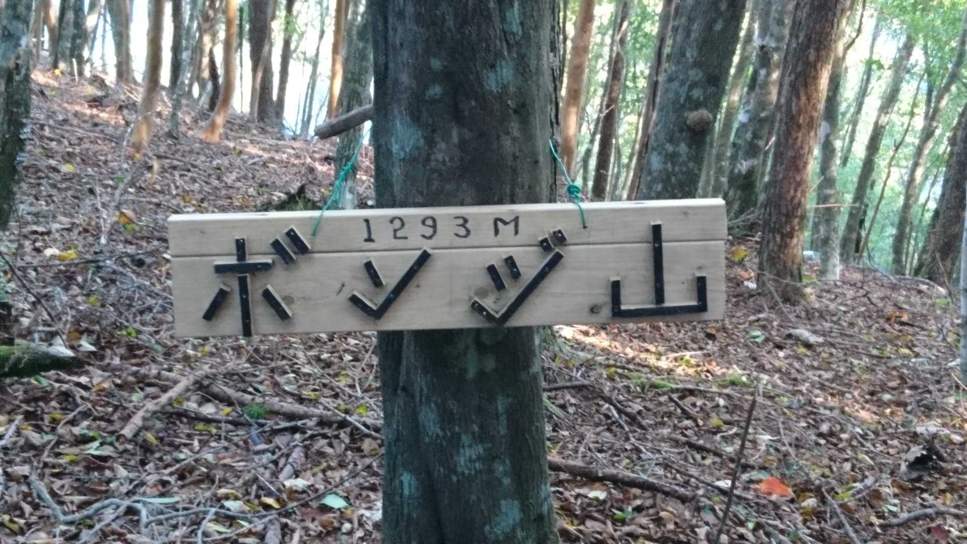 ボンジ山です。そっとｼﾞｬﾝﾌﾟしました(..)
