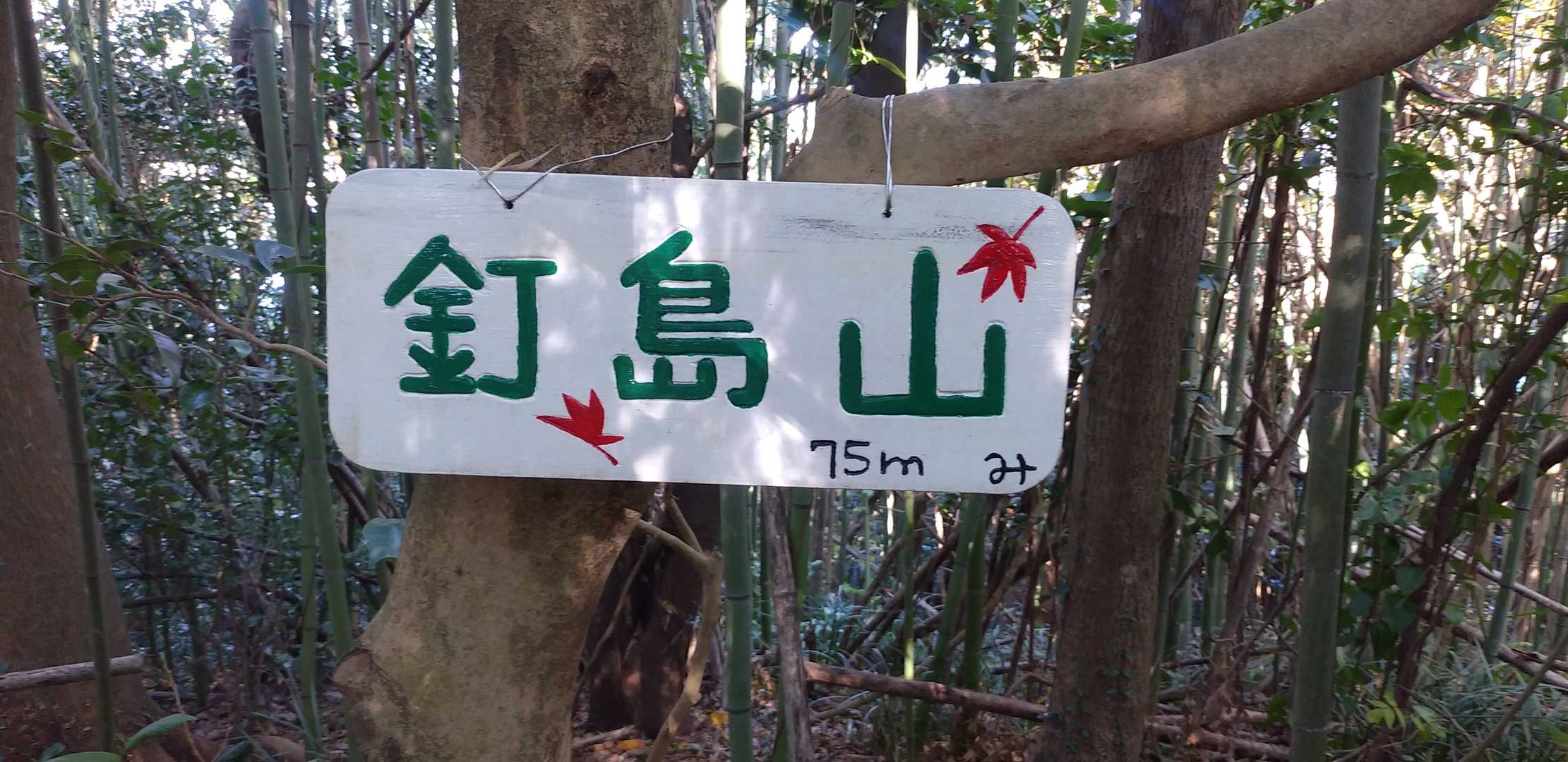 あった🎶