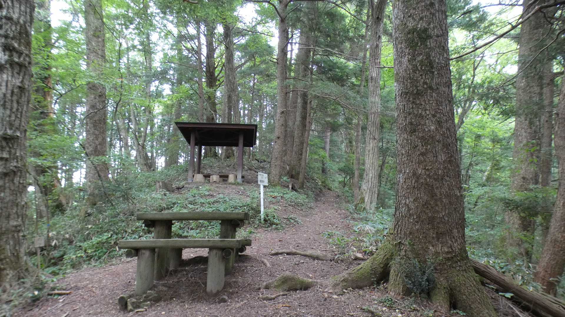 ゆるやかコースと急峻コースの合流地点に休憩ポイント。
今日は虫（メマトイ？）が多すぎて休憩できない・・・