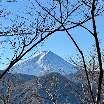 富士山見えた。
これ、夏だとあまり見えないよね😅