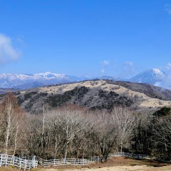 この後、男体山は雲に隠れてしまいました😂