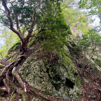 烏帽子岩！