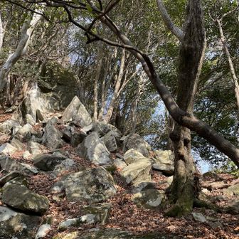 Cコース　鎖場入ります