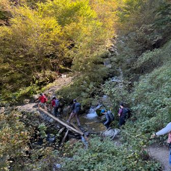 樹林帯暑くて、沢水が気持ち良い〜