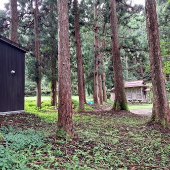 そして午後からの散歩で鳥坂神社