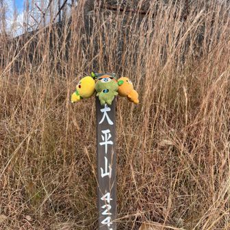 みきゃんフルメンバー集合