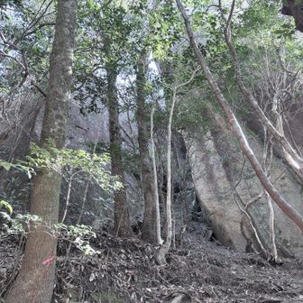 大きな岩を横切ると