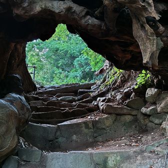 天然記念物・生樹の御門。樹齢3000年の楠の幹の空洞が自然のトンネルとなっている
