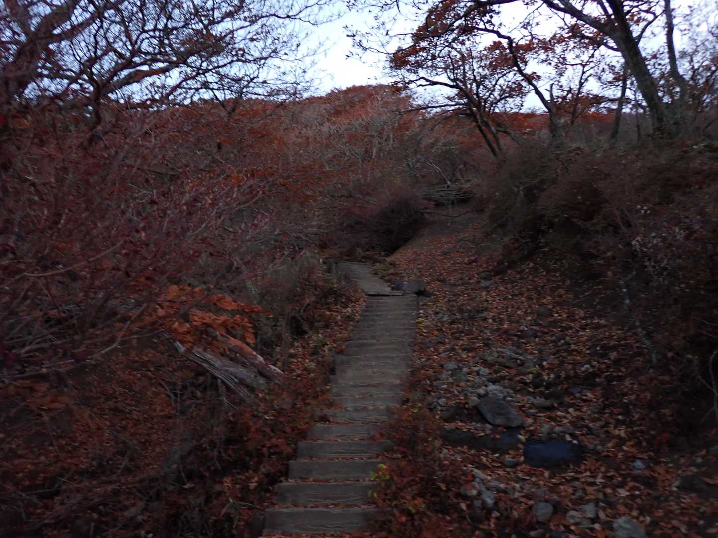 朝５時出発。大浪池を経由して、もうすぐ山頂。だいぶ明るくなってきた。