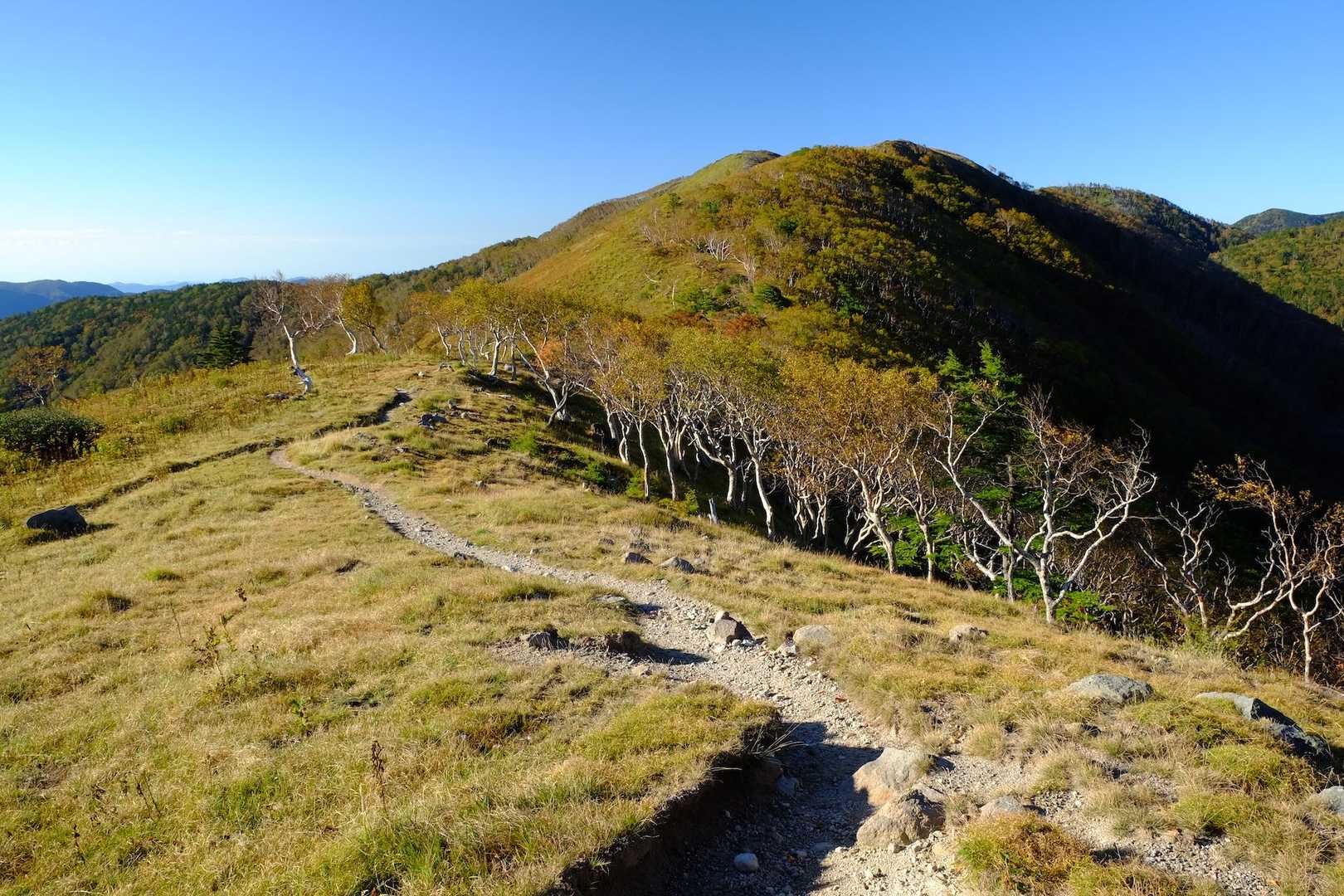 白根隠山までの道は最高です