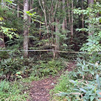 駐車場はほとんど埋まってました。相変わらず人気のお山
あら？夏椿コースが封鎖されてます。
何かあったかな？