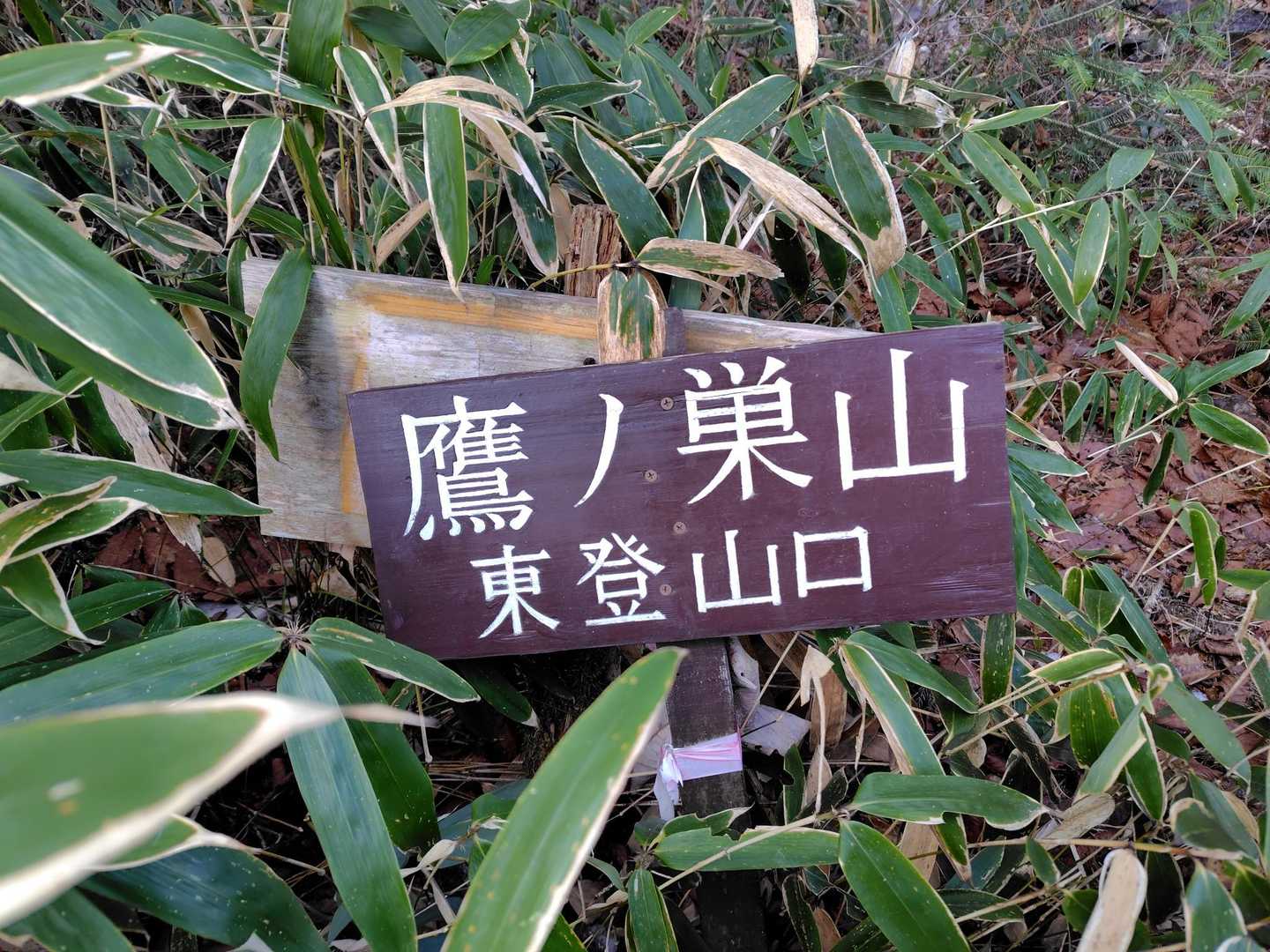 でもなんで段戸山から鷹ノ巣山に名前変わったのかな？
