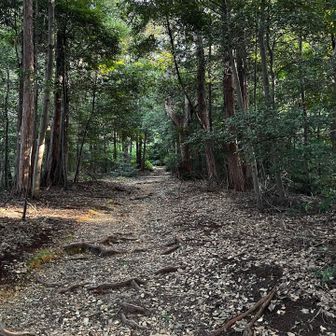 清水寺山方面に向かいます