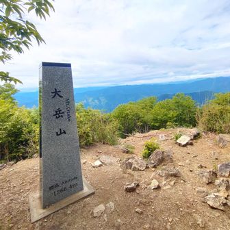 登頂　
残念ながら富士山は見えませんでした　
あと、肩が痛い