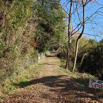 坂の山登山口、とても眼力の強い看板に見つめられています