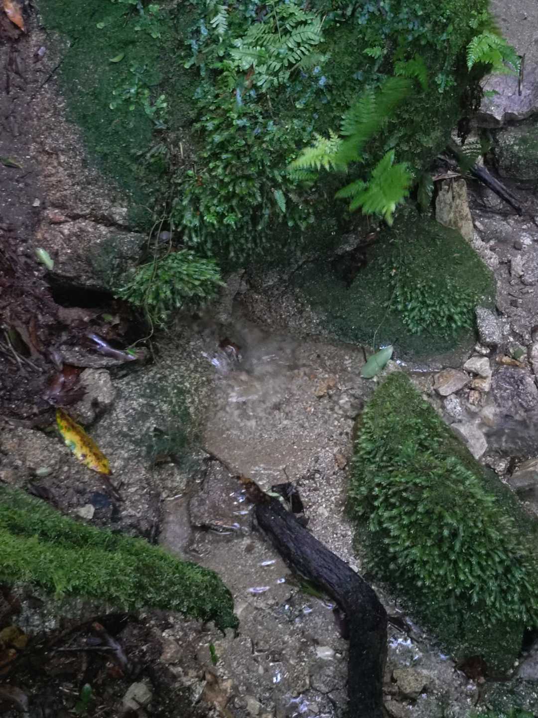 ここから💧水が流れ出てくる