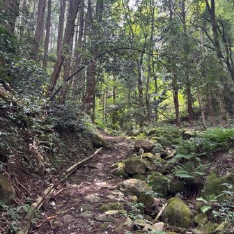 最初らなだらかで涼しさを楽しめました