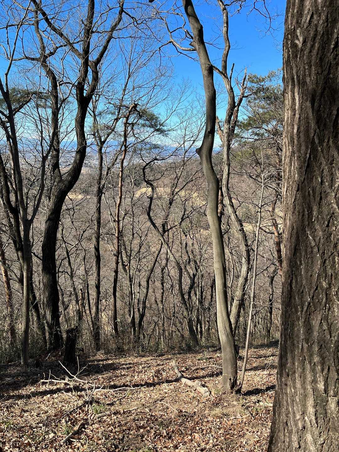 今何処まわってるのかな？