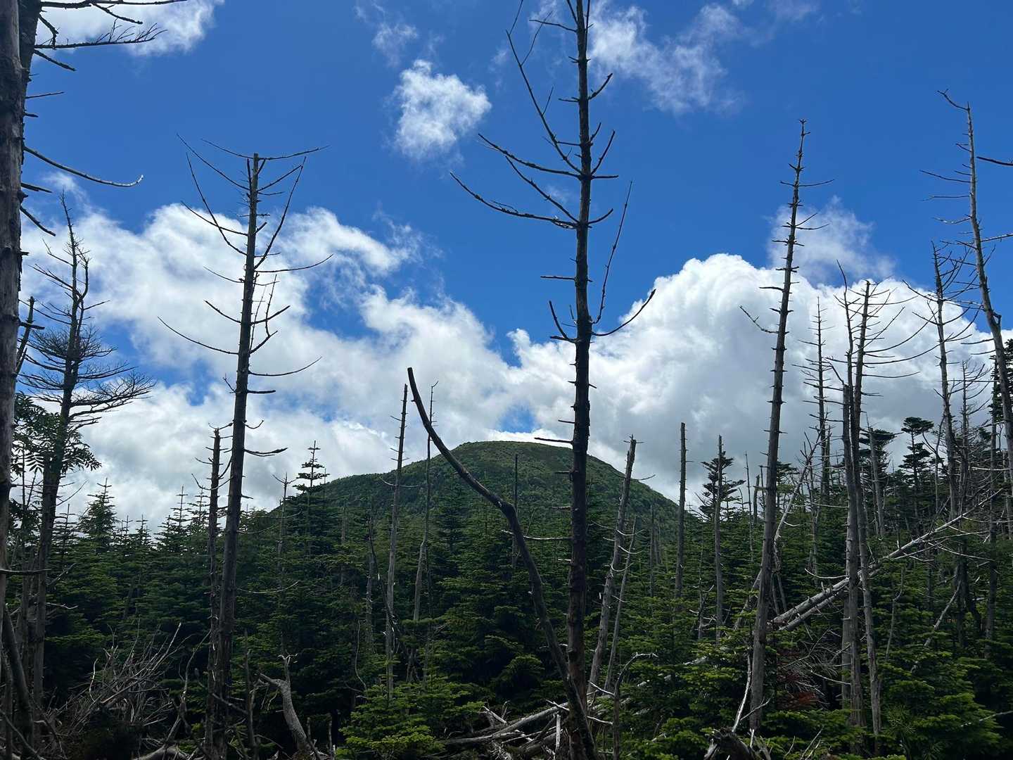 蓼科山（大河原峠）の写真