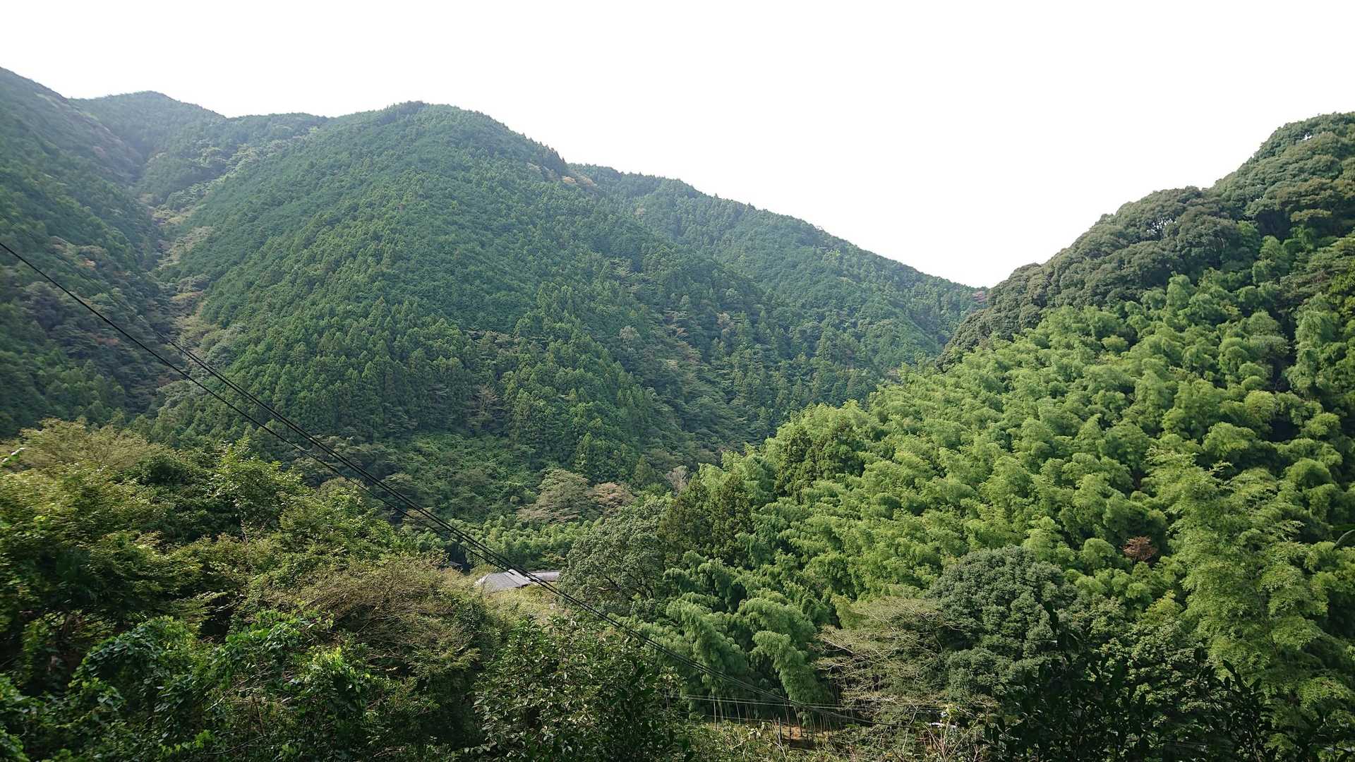 景色はいいです😌