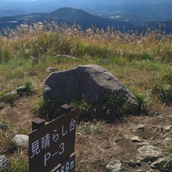 見晴台から錦江湾と桜島を望む🧐