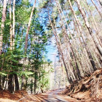 YさんのMY駐車場からスタート（笑）