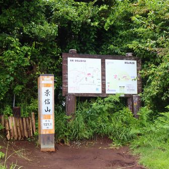 景信山に登頂。