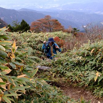 最後の千両山までの登り返しのキツいことꉂ😂