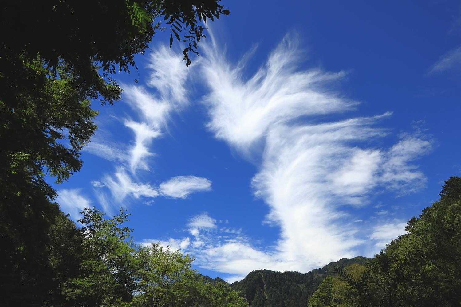 雲も秋の気配。
なんとなく三角形で槍の穂先のカタチしてない？
小槍もあるよ。