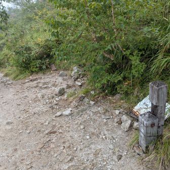 山頂感は無い大遠見山を通過