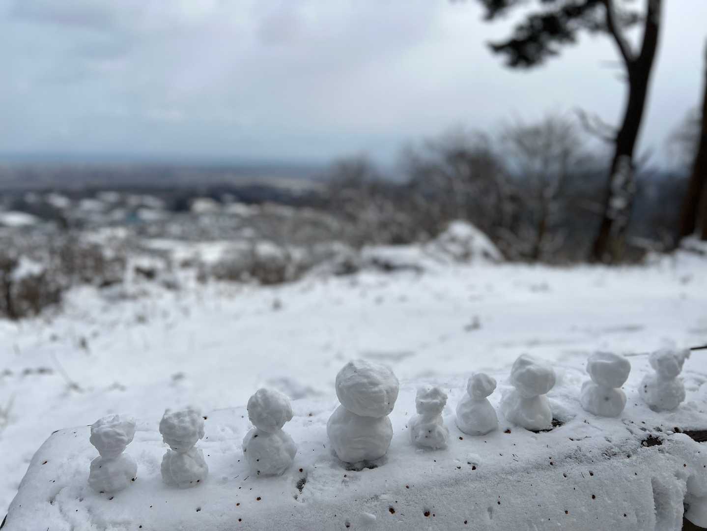 うふふ…
おきょうさんも⛄️苦手ですね😆
