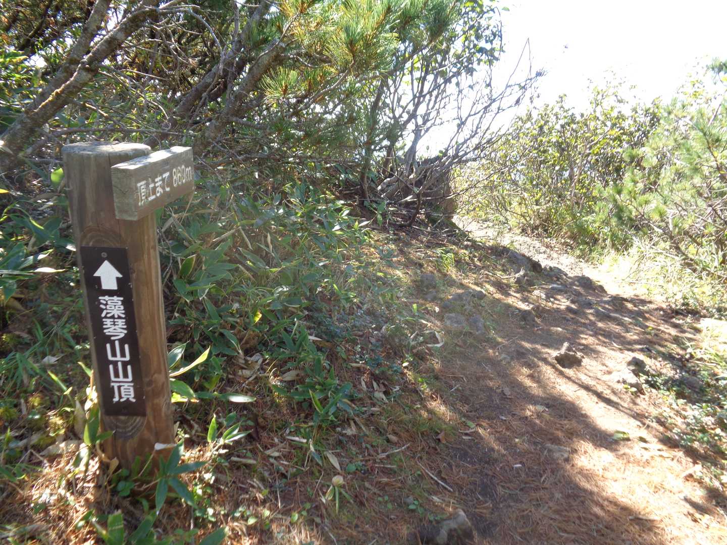 今はないが、屏風岩付近は行程中もっとも花🌺が見られるところらしい。