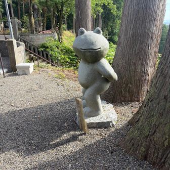 なんだい君は⁉︎
本当にカエルなのかい？その不適な笑みはなんなんだ…
てかなんかちょっとセクシーだなそのポーズ😍