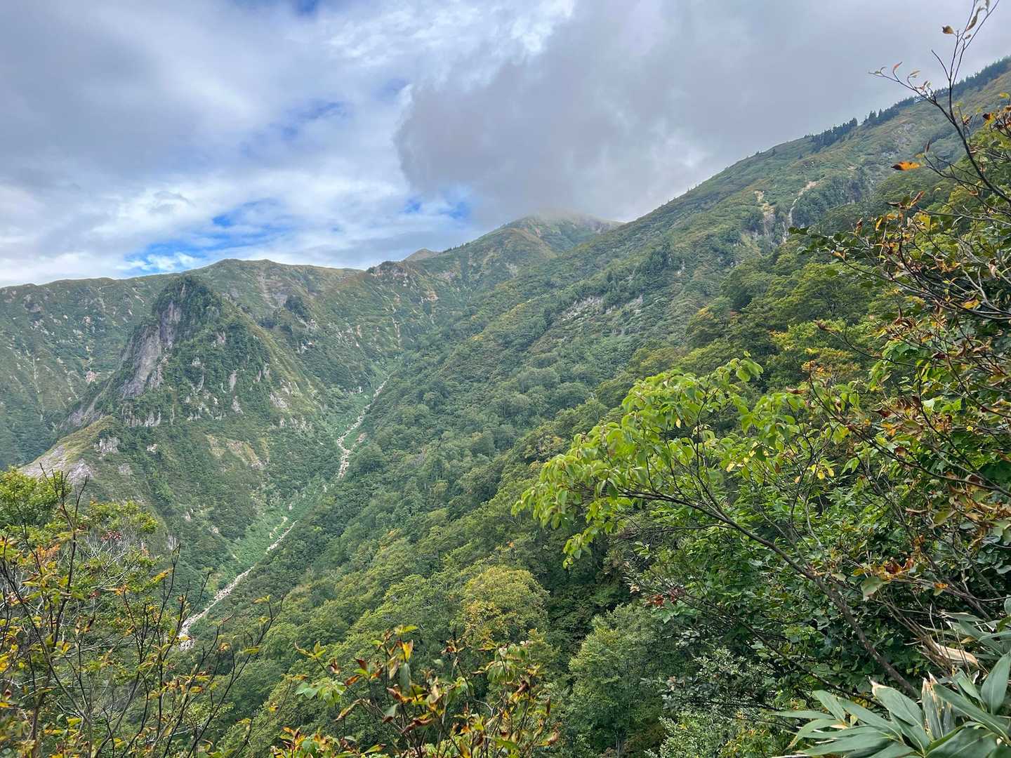 登山道みたいな所は、ヌクビ沢コース？
黄色く紅葉している所が多分巻機山山頂。