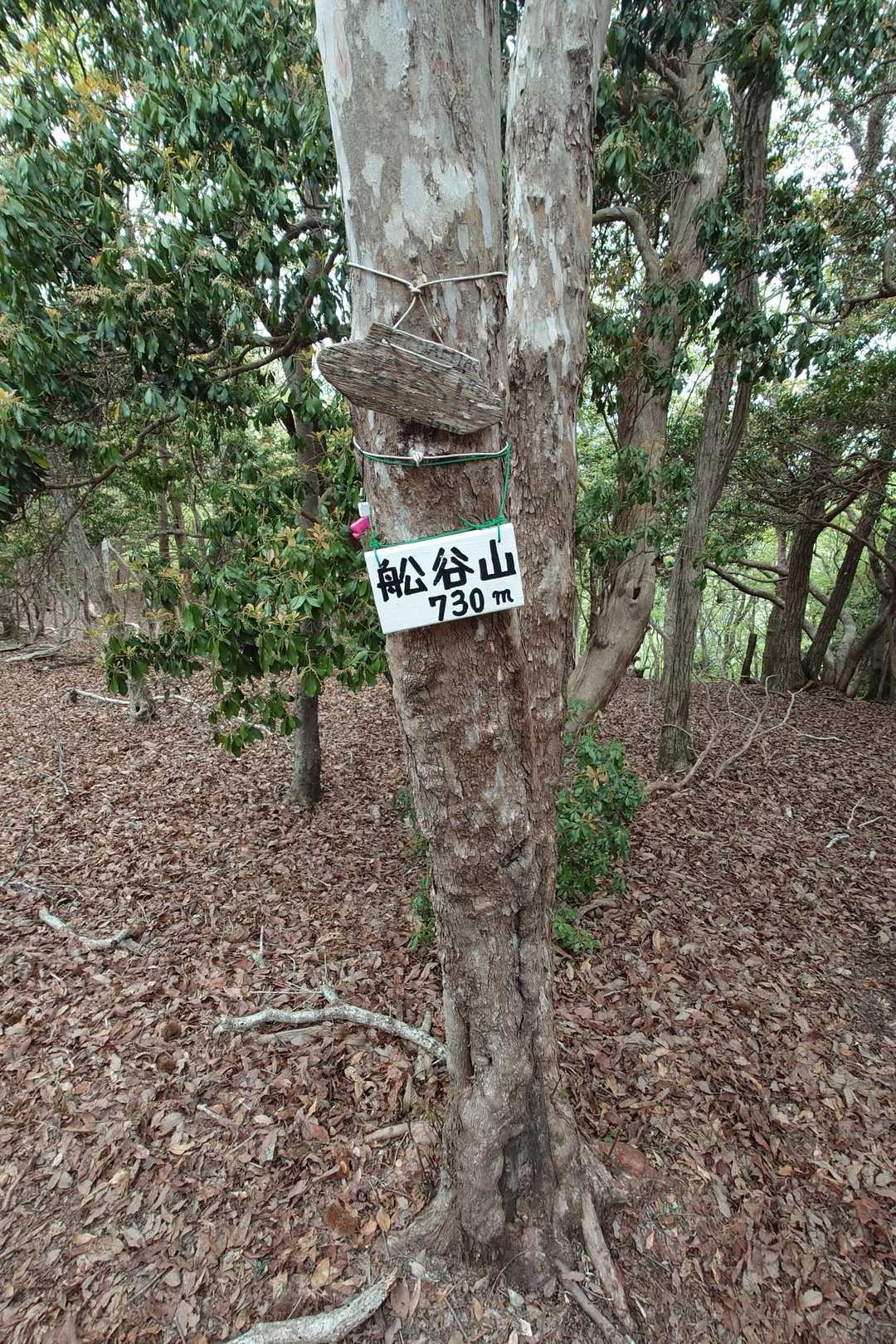 舩谷山-深山 周回コースの写真