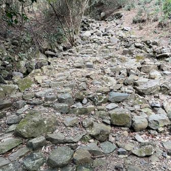 コレが結構　ゴロゴロして足が痛い😓