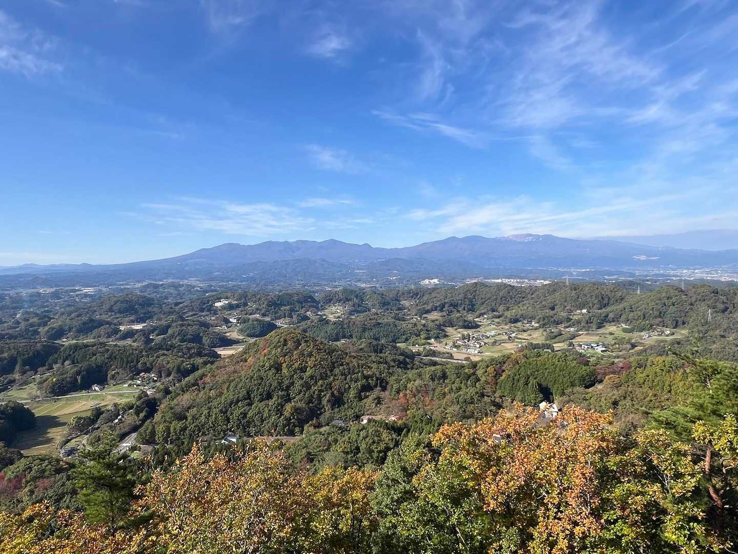 展望台からの景色