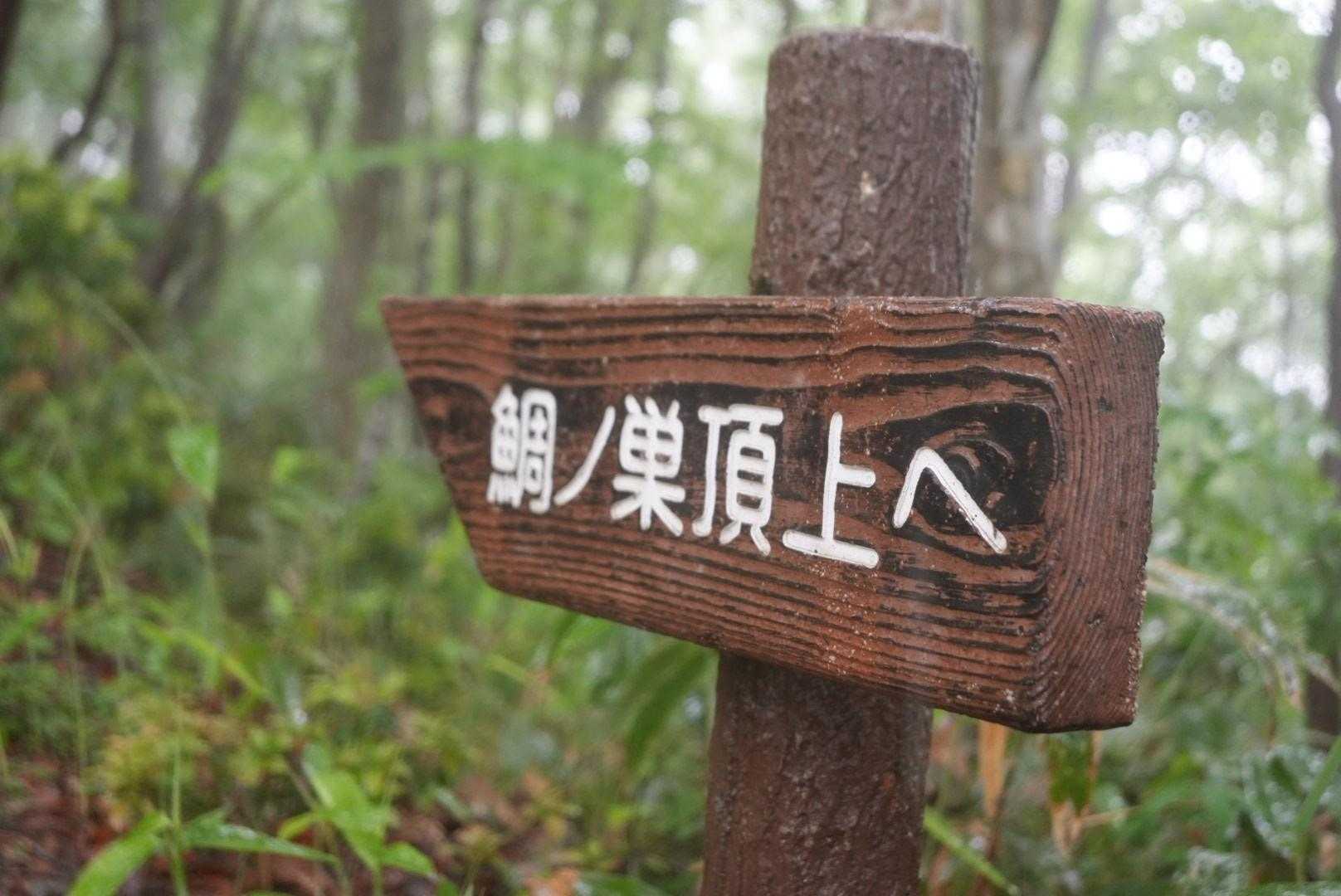 鯛ノ巣山 周回コースの写真
