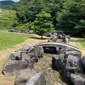 流れてる水はぬるい