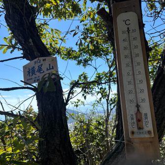 横尾山到着、今日は暑い。
2リットル水💦持って来て正解👍