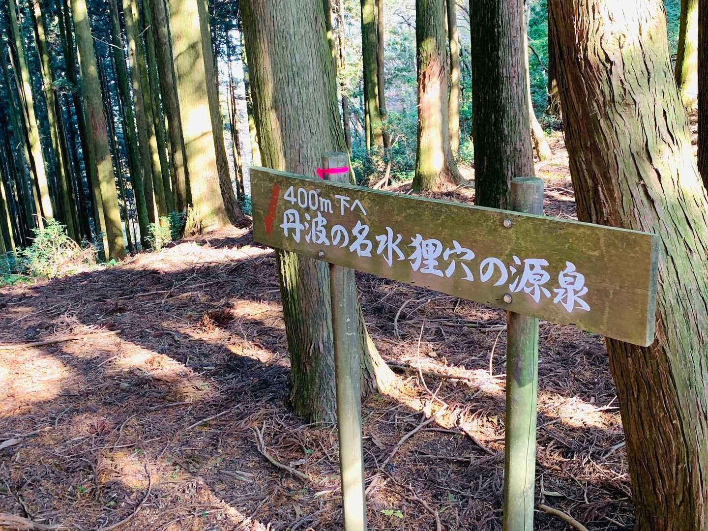 小野寺山を後にし、来た道を引き返すはずが…
この標識に惹かれて見に行く‼︎